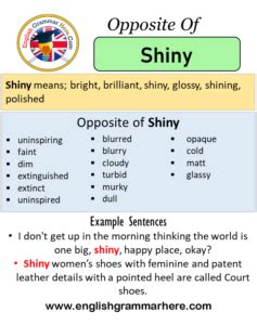 antonyms of shiny|shine opposite.